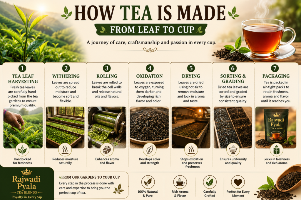 How Tea Is Made